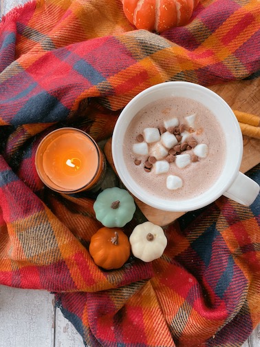 Perfect Foamy Cocoa for National Hot Chocolate Day - Pumpkin Obsessed